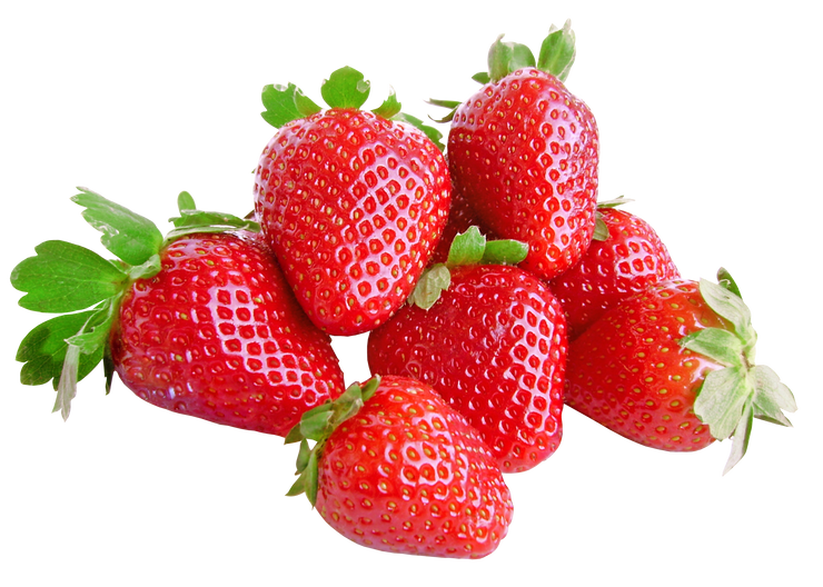 Roman F1 Strawberry - Bulk Fruit / Berry Seeds - 100 Seeds