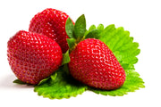 Tarpan F1 Strawberry - Bulk Fruit / Berry Seeds - 100 Seeds