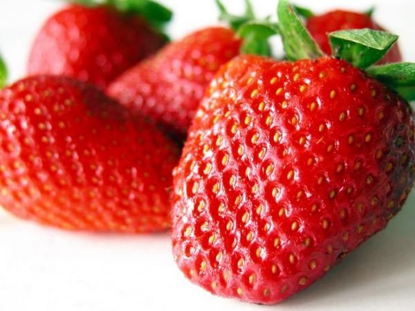strawberry seeds south africa Giant Strawberry Seeds
