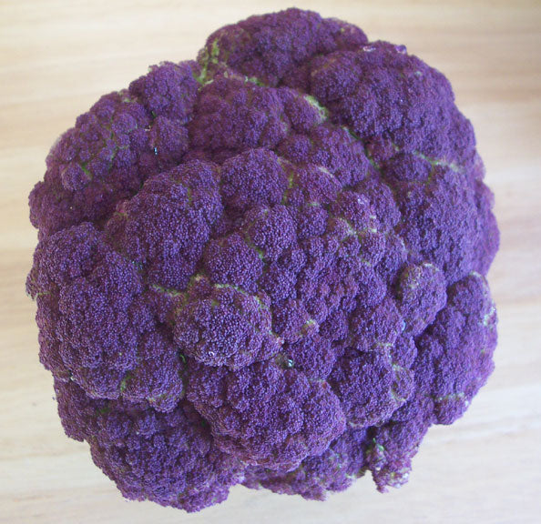Purple Broccoli - Bulk Vegetable Seeds - 100 grams