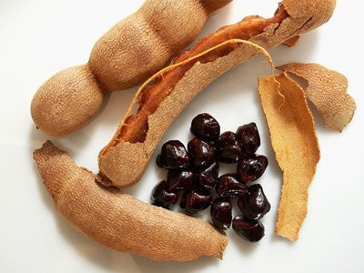 Tamarind  Tamarindus Indica - Fruit Tree - Edible Fruit / Bonsai - 5 Seeds