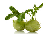 White Vienna Kohlrabi - Brassica Oleracea Gongylodes - Vegetable - 300 Seeds