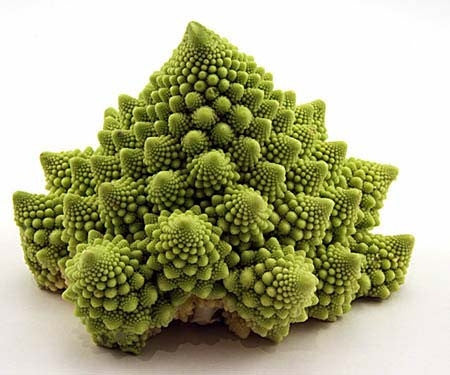 Romanesco Broccoli - Fractal Head Cauliflower - Brassica Oleracea - Exotic Vegetable - 20 Seeds