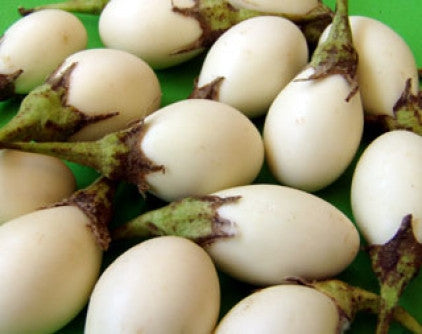 Ivory Eggplant - Solanum melongena - 5 Seeds