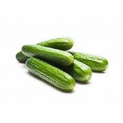 Ashley Cucumber - Cucumis Sativus - 40 Seeds