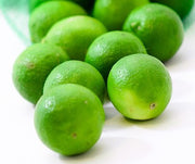 Key Lime - Citrus Aurantifolia - Fruit Tree - 5 Seeds