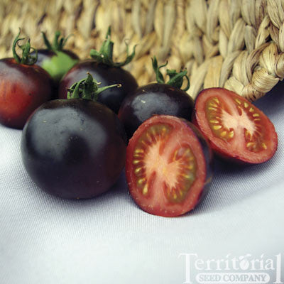 Indigo Rose Tomato - Bulk Vegetable Seeds - 100 seeds