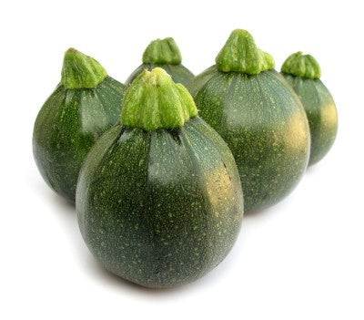 Round Zucchini - Cucurbita Pepo - Unique Vegetable - 10 Seeds