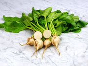 White Albino Beetroot - Bulk Vegetable Seeds - 20 grams