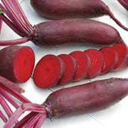 Cylindra Beetroot - Heirloom Vegetable - 50 Seeds