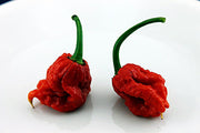 Carolina Reaper Pepper - Capsicum Chinense - The worlds HOTTEST Chilli Pepper - Seeds