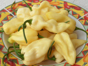 White Bhut Jolokia - Ghost Pepper - Chilli Pepper - Capsicum Chinense - Extremely Hot - 5 Seeds