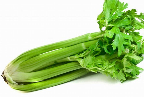 Golden Pascal Celery - Apium graveolens var. dolce - Heirloom Vegetable - 250 Seeds