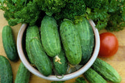 Marketmore 76 Slicing Cucumber - Cucumis Sativus - 20 Seeds