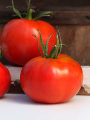 Marglobe Tomato - Solanum lycopersicon - Heirloom Vegetable - 50 Seeds