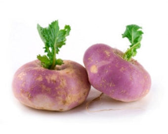 Seven Top Turnip - Brassica rapa rapa - Heirloom Vegetable - 400 Seeds