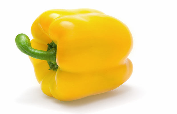 Kavango Sweet Golden Yellow Bell Pepper - Capsicum annuum - 10 Seeds