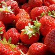 Elan F1 Strawberry - Fragaria - Easy to grow Container Strawberry - Fruit - 5 Seeds