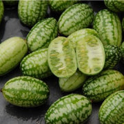 Mouse Melon - Cucamelon - Miniature Watermelon - Rare Fruit Vine - Melothria scabra - 10 Seeds