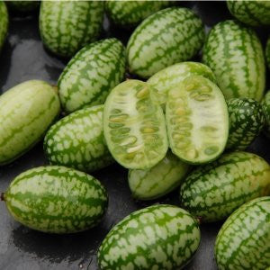 Mouse Melon - Cucamelon - Miniature Watermelon - Rare Fruit Vine - Melothria scabra - 10 Seeds