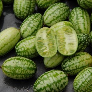 Mouse Melon - Cucamelon - Miniature Watermelon - Rare Fruit Vine - Melothria scabra - Bulk 100 Seeds