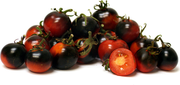 Indigo Cherry Drops Cocktail Tomato - Bulk Vegetable Seeds - 100 seeds