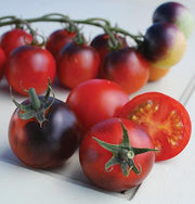 Indigo Cherry Drops Cocktail Tomato - Bulk Vegetable Seeds - 100 seeds