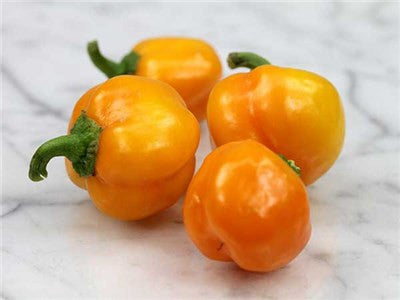 Mini Orange Sweet Bell Pepper - Capsicum Annuum - Heirloom Vegetable - 5 Seeds