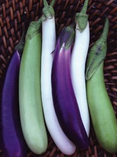 Eggfruit Fingerlings Blend - Solanum melongena - Heirloom Vegetable - 50 Seeds