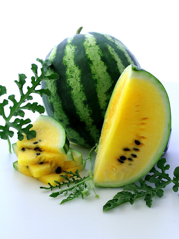 Yellow Petite Watermelon - Citrullus lanatus - Heirloom Vegetable / Fruit - 10 Seeds