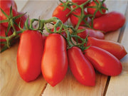 Napoli VF Fiaschetto Paste Tomato Heirloom Vegetable - Lycopersicon Esculentum - 10 Seeds - ORGANIC