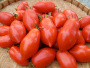 Napoli VF Fiaschetto Paste Tomato Heirloom Vegetable - Lycopersicon Esculentum - 10 Seeds - ORGANIC