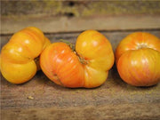 Pineapple Pig Tomato Heirloom Vegetable - Lycopersicon Esculentum - 10 Seeds - ORGANIC