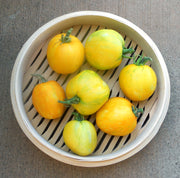 Yellow Furry Boar Tomato Heirloom Vegetable - Lycopersicon Esculentum - 10 Seeds - ORGANIC