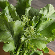 Spring Raab Rapini Broccoli - ORGANIC - Heirloom Vegetable - 20 Seeds