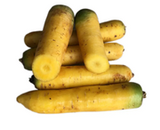 Heirloom Yellow Carrot - Daucus carrota - Heirloom Vegetable - 50 Seeds