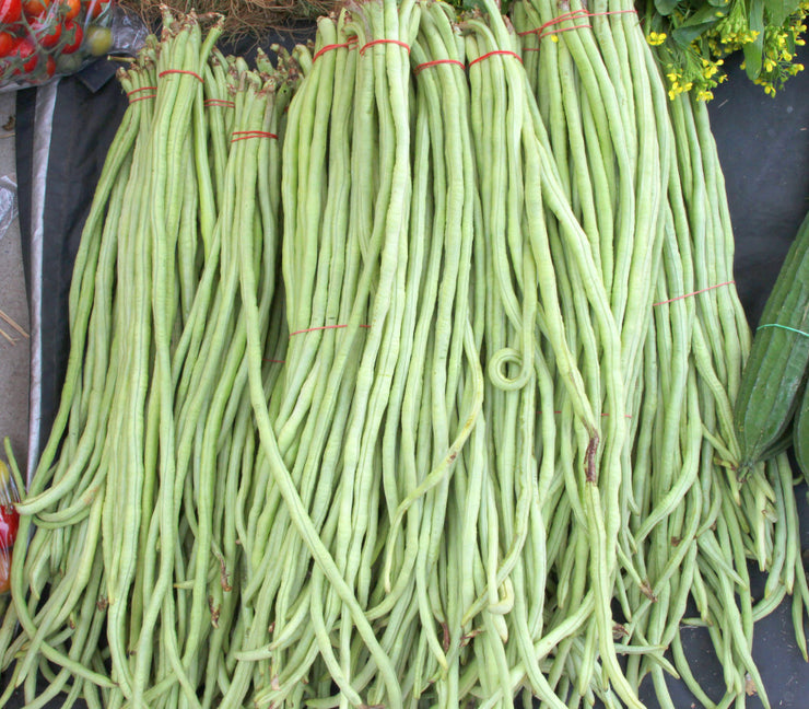 Chinese / Thai Yard Long White Beans - Heirloom Vegetable - Vigna sesquipedalis - 5 Seeds