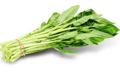 Water Spinach - White Stem - Water convolvulus - Kangkong - Ipomoea Aquatica - Exotic Thai Vegetable - 25 Seeds