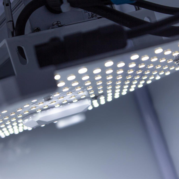 LUMii Black Blade LED 100W Fixture - 100W LED Grow Light - Hydroponic Lighting