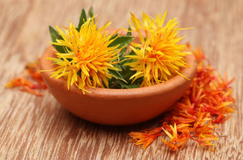 Safflower - Poor mans Saffron - Heirloom Herb - Carthamus tinctorius - 5 Seeds