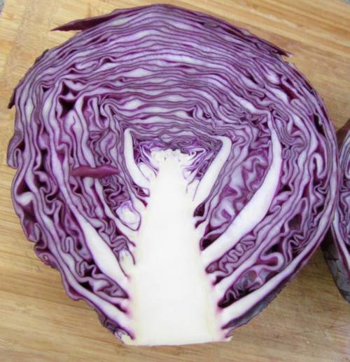 Red Amarant Cabbage - ORGANIC - Heirloom Vegetable - 20 Seeds