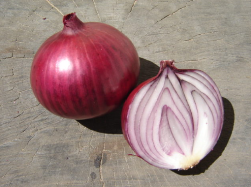 TG Red Onion - ORGANIC - Heirloom Vegetable - 200 Seeds