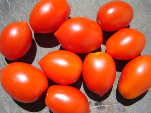 Red Bella Rosa Cherry Tomato - ORGANIC - Heirloom Vegetable - 20 Seeds