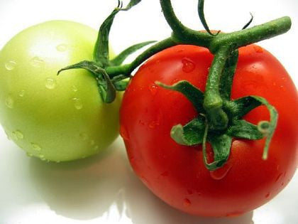 Floradade Tomato - Lycopersicon Esculentum - 50 Seeds