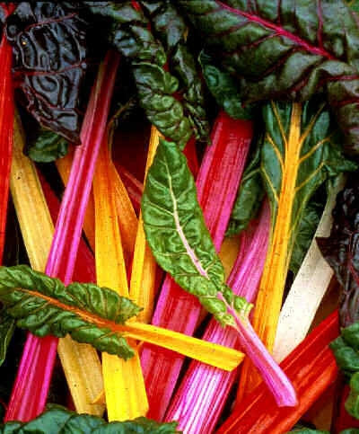 Bright Lights Swiss Chard - Beta Vulgaris var. cicla - 15 Seeds