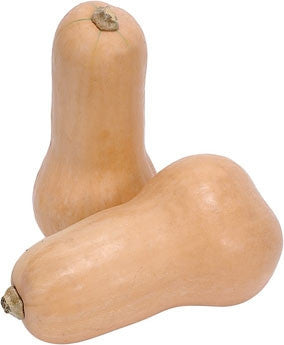 Butternut Squash - Cucurbita Moschata - 15 Seeds