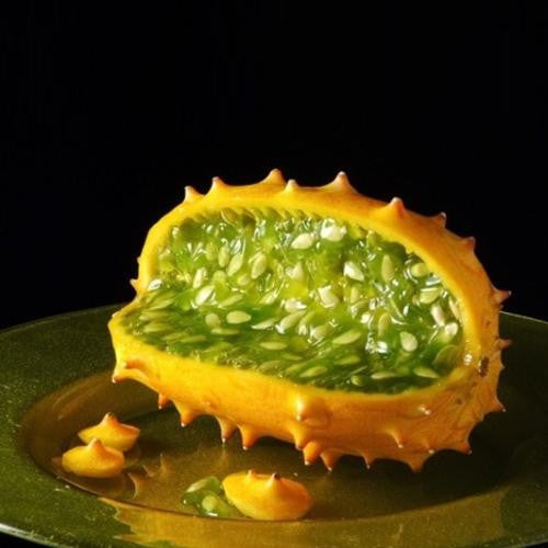 Cucumis Metuliferus - African Horned Cucumber "Kiwano" - South African Vegetable - 10 Seeds