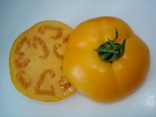 Golden Jubilee Tomato - Lycopersicon Esculentum - Vegetable - 10 Seeds