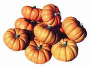 Jack be Little Pumpkin - Vegetable - Cucurbita Maxima - 5 Seeds