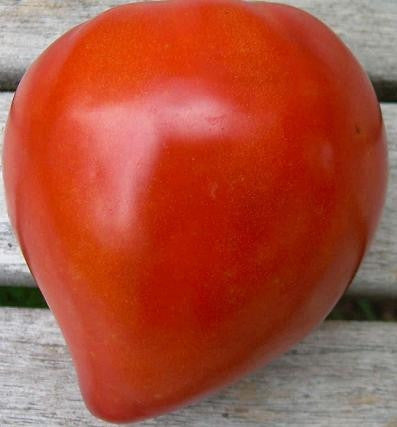 Bulls Heart Tomato - Lycopersicon Esculentum - Vegetable - 10 Seeds